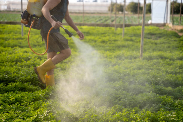 Pest Control Cost in Quinebaug, CT