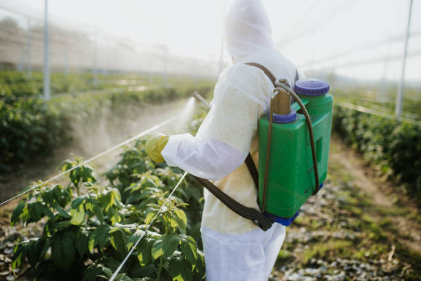 Best Pest Removal Services  in Quinebaug, CT
